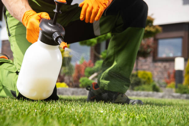 Pest Prevention Services in Carnegie, PA